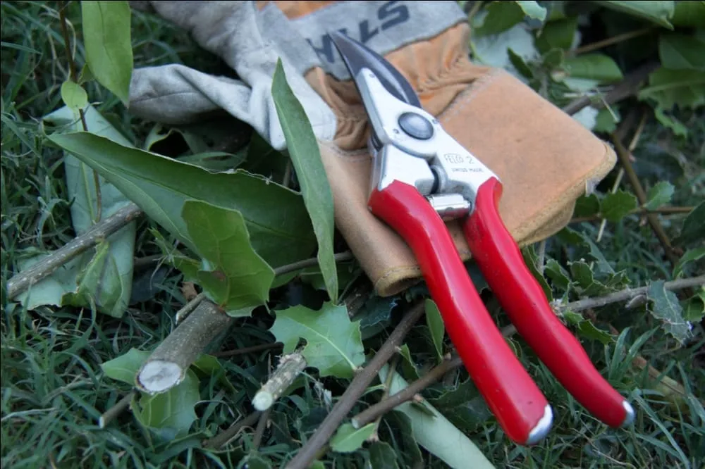 Affordable landscape design near you in Citrus Heights, CA by American Gardens