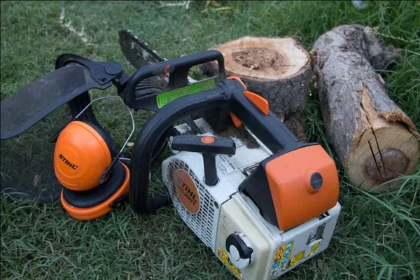 American Gardens Logo