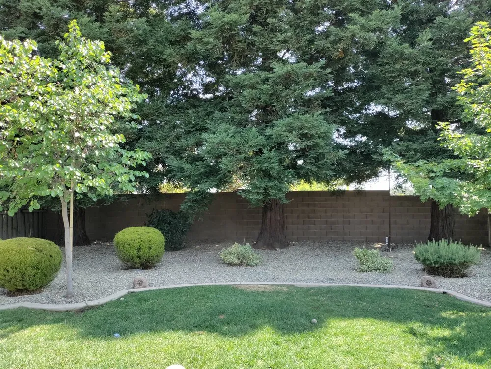 Top-rated lawn mowing service in Fair Oaks, CA - American Gardens Landscaping