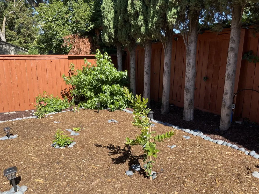 Reliable lawn mowing service experts serving Fair Oaks, CA - American Gardens Landscaping