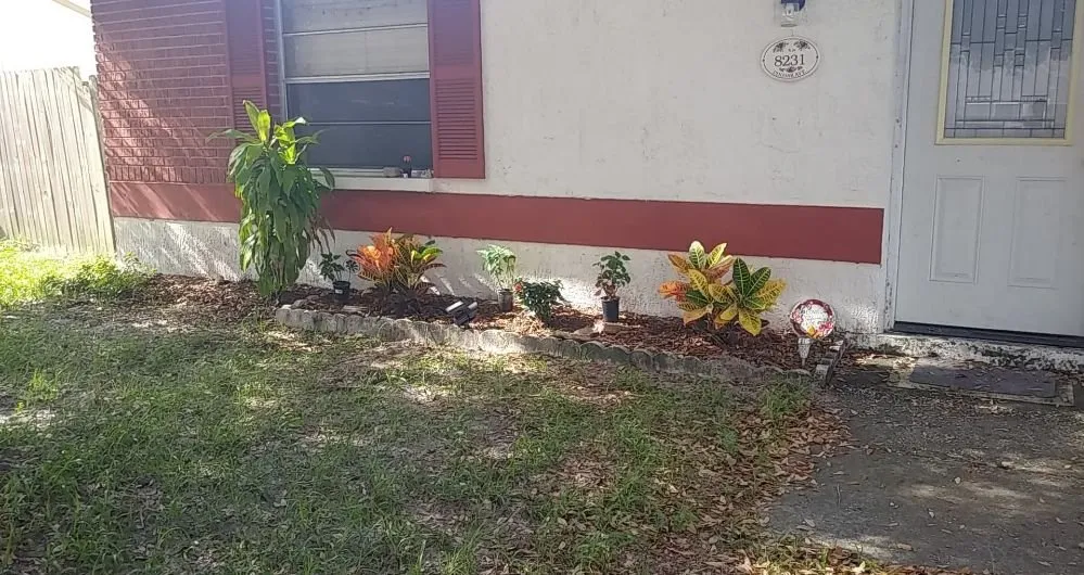 Custom yard cleanup service in Port Richey, FL by American Girl Lawn Care