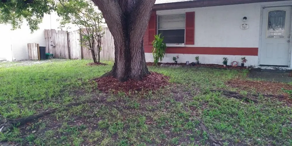 Top-rated yard maintenance for year-round maintenance across Port Richey, FL - American Girl Lawn Care