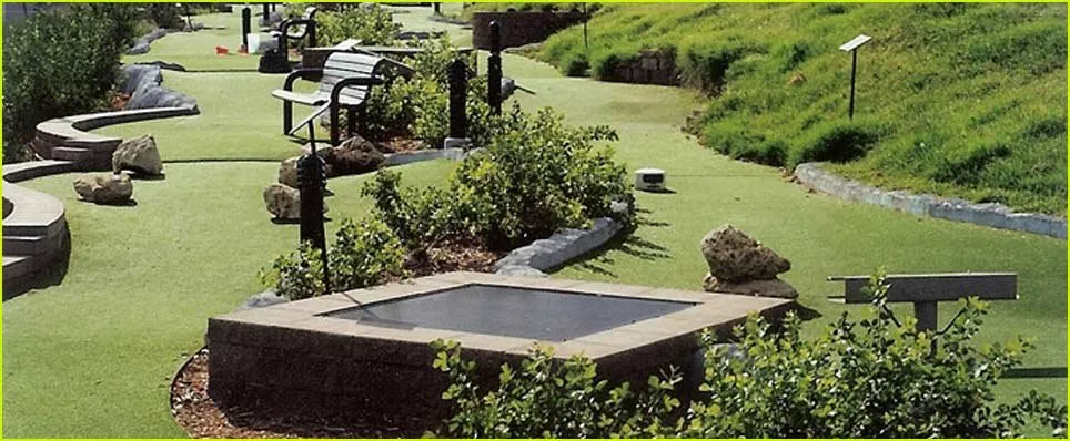 Custom yard cleanup service for beautiful yards in Dana Point, CA by American Grass & Turf