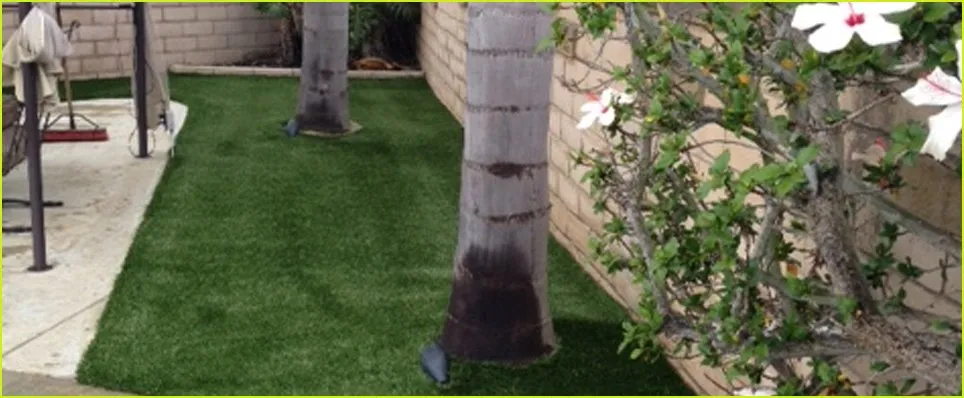 Local landscape installation in Dana Point, CA - American Grass & Turf