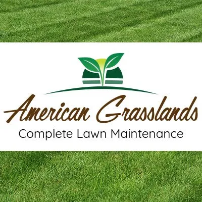 Professional residential landscaping with custom design in Foristell, MO by American Grasslands