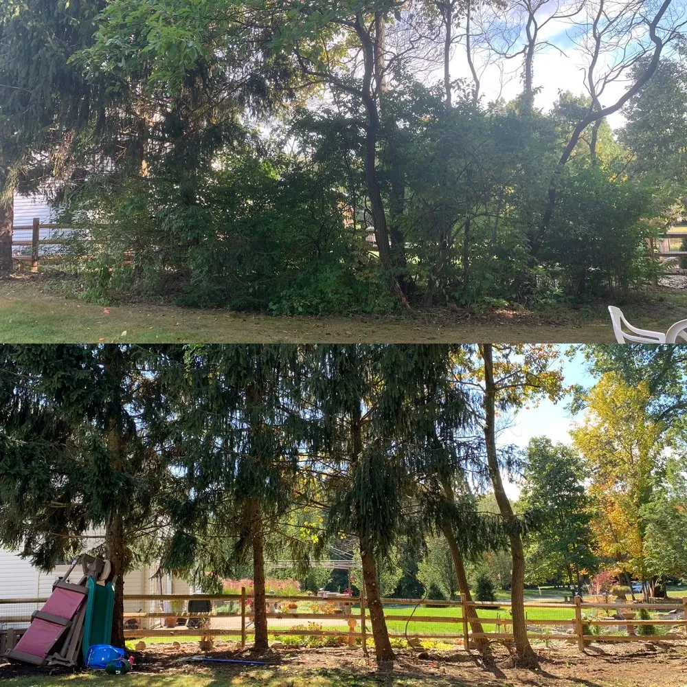 Reliable yard cleanup service for residential properties in Milford, OH by American Green Landscape Services