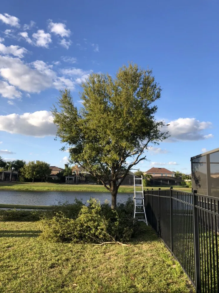 Expert lawn mowing service near you across Orlando, FL - American Green Lawn Care