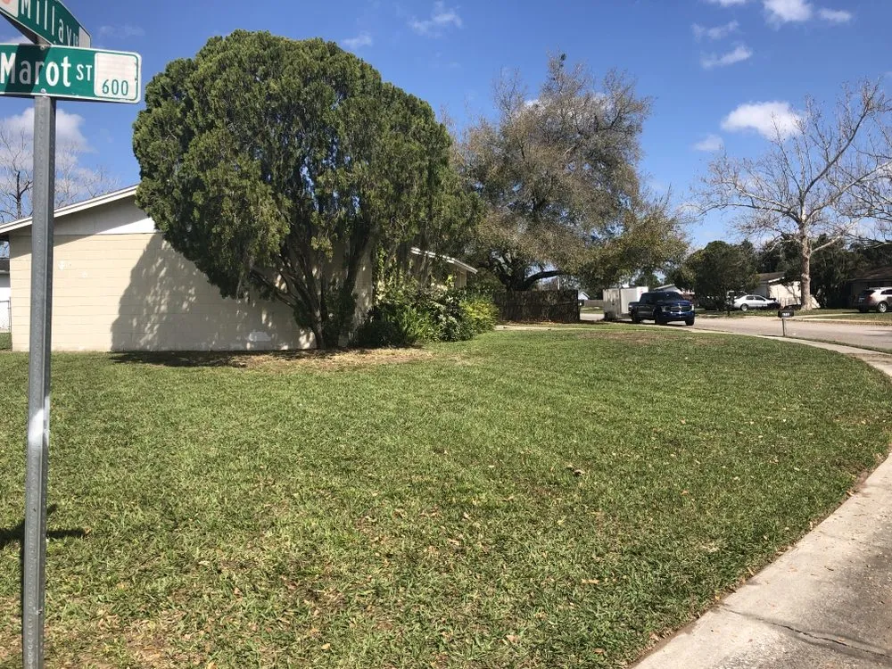 Professional landscaping services in Orlando, FL by American Green Lawn Care