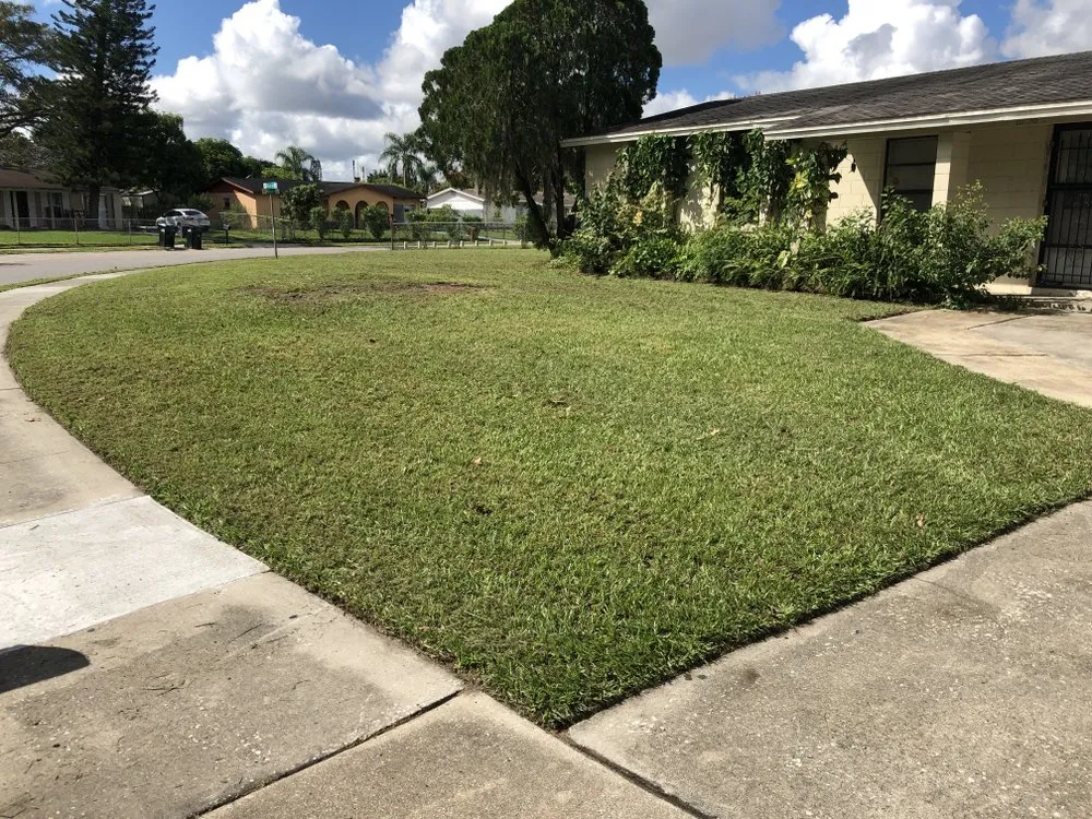 Expert landscape installation experts serving Orlando, FL - American Green Lawn Care