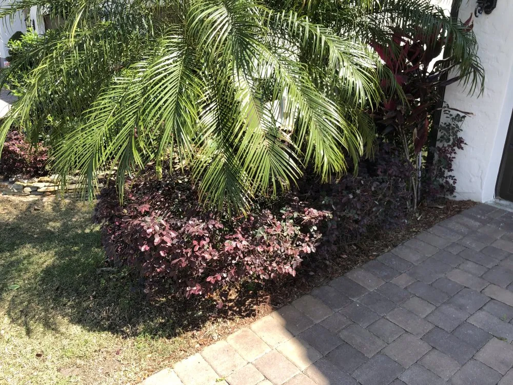 Professional landscape installation in Orlando, FL - American Green Lawn Care