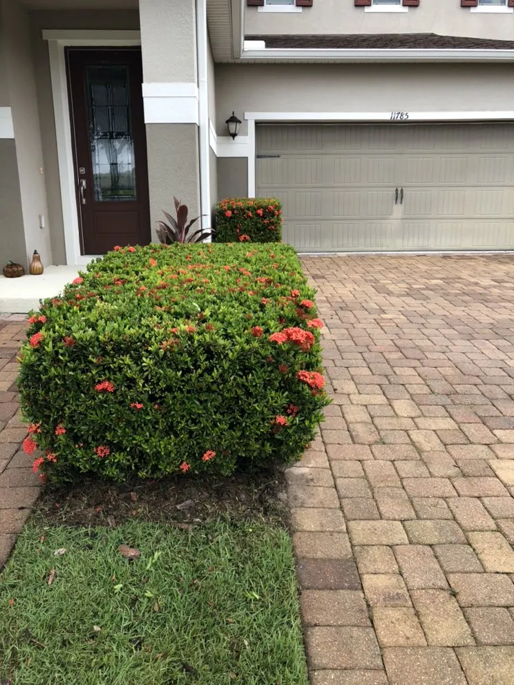 Local residential landscaping in Orlando, FL by American Green Lawn Care