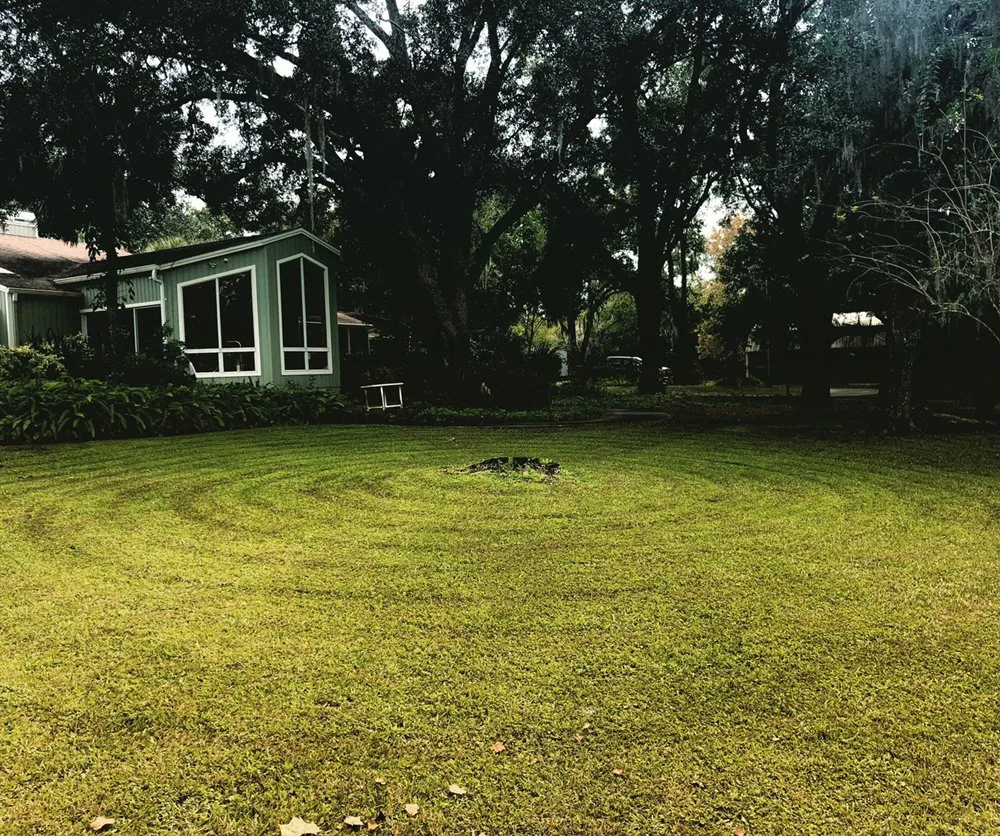 Professional yard cleanup service for homes across Orlando, FL - American Green Lawn Care