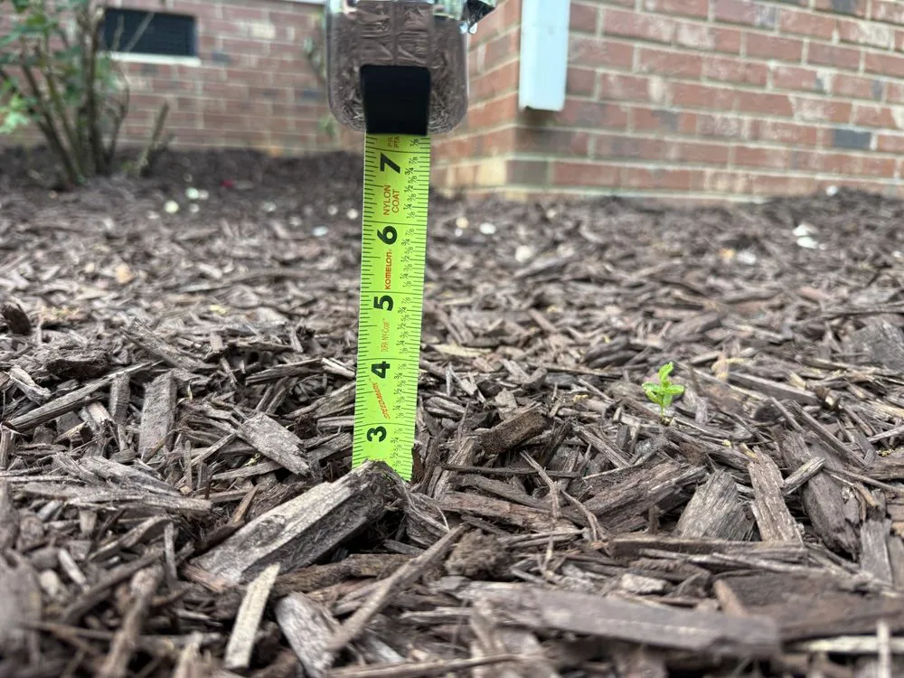 Top-rated yard cleanup service experts serving Clover, SC - American Green Lawns