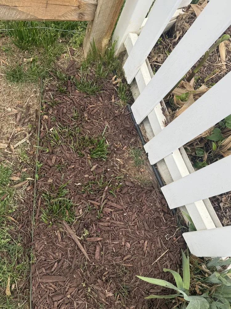 Professional residential landscaping for residential properties in Clover, SC by American Green Lawns