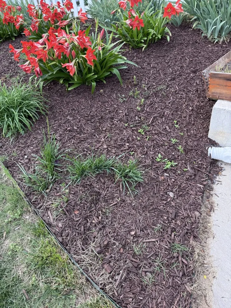 Custom lawn care service in Clover, SC - American Green Lawns