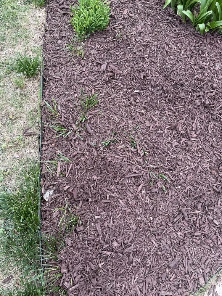 Top-rated outdoor landscaping for residential properties in Clover, SC by American Green Lawns