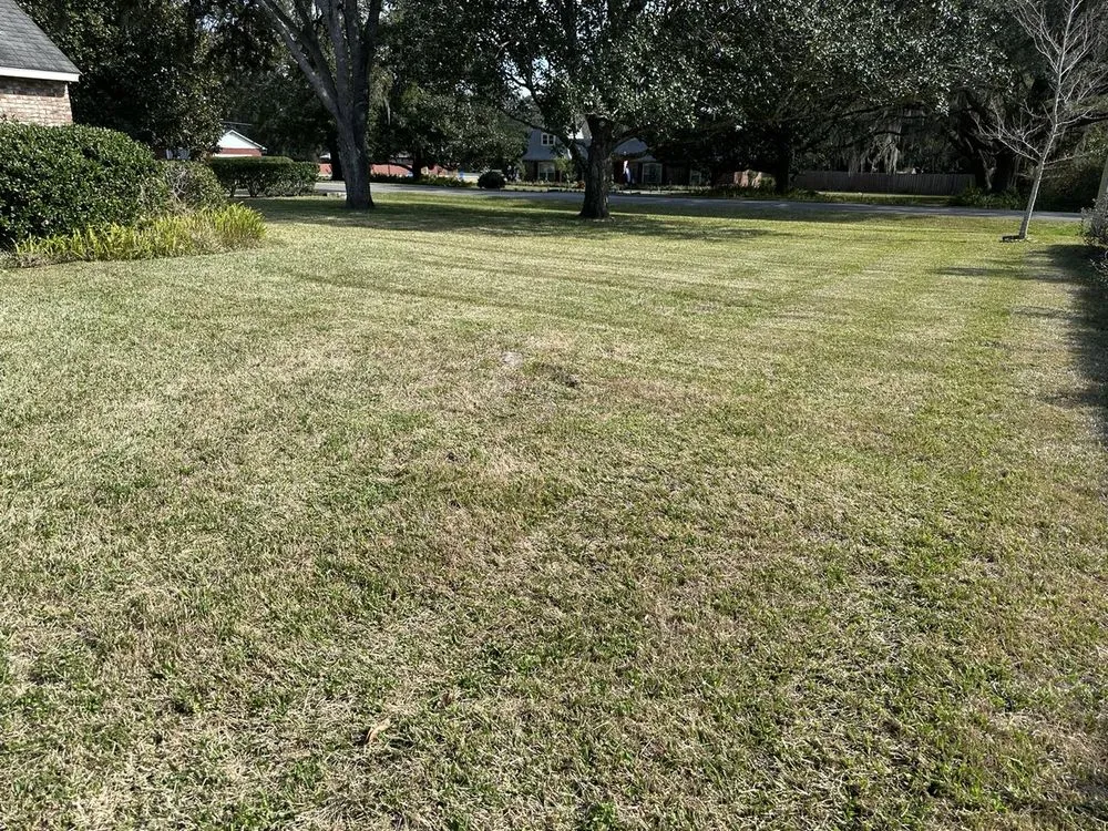 Top-rated lawn care service experts serving Dunnellon, FL - American Grounds Service