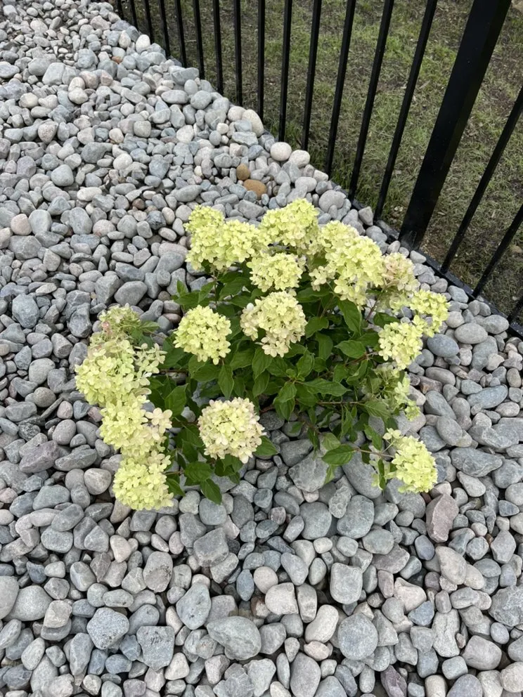 Local landscaping services in Oakdale, PA - American Groundskeeping