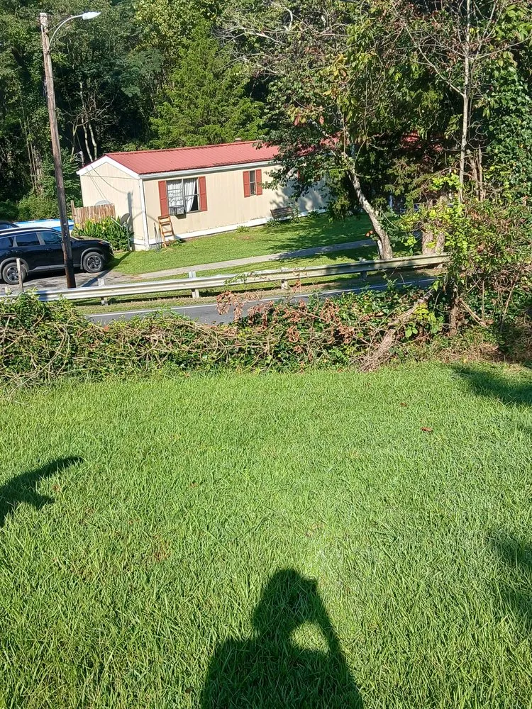 Affordable landscape installation experts serving Summerville, GA - American Handyman