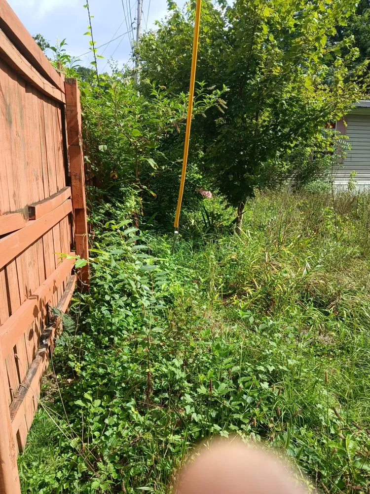 Affordable residential landscaping in Summerville, GA by American Handyman