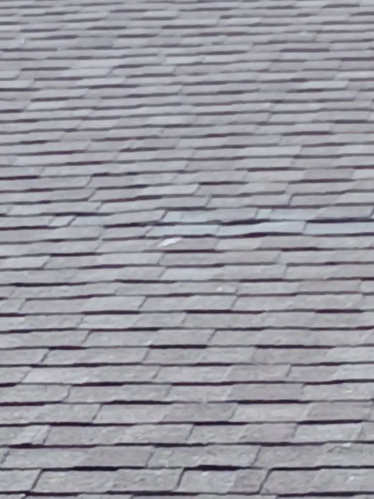 Trusted yard maintenance near you across Summerville, GA - American Handyman