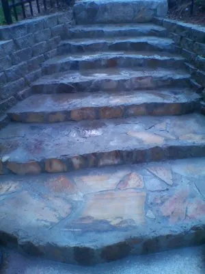 American Home and Commercial Services Logo