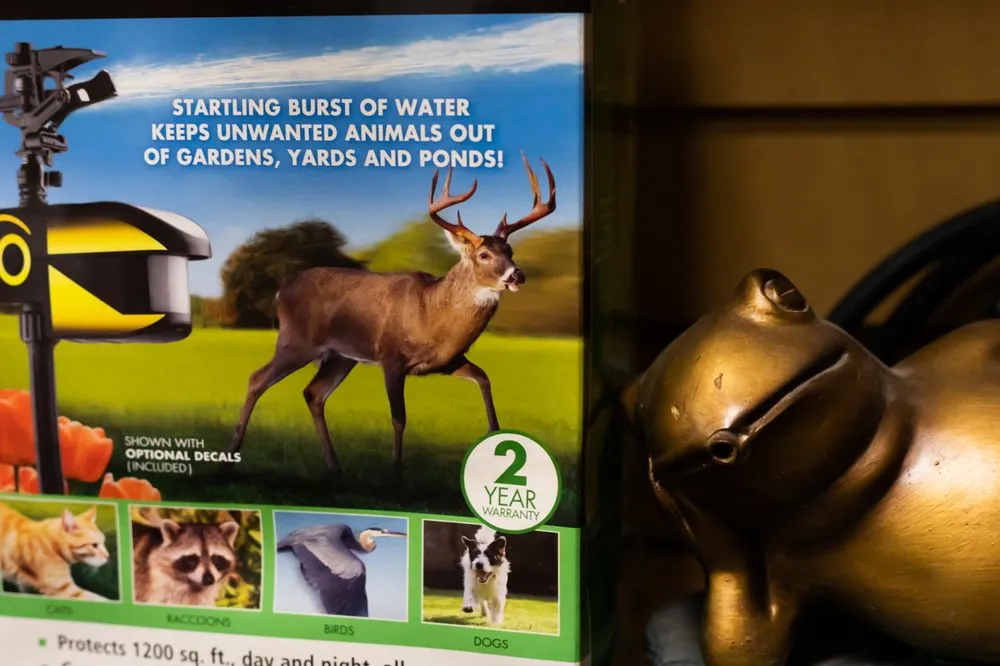 Affordable yard cleanup service for outdoor upgrades across Painesville, OH - American Home and Energy Products