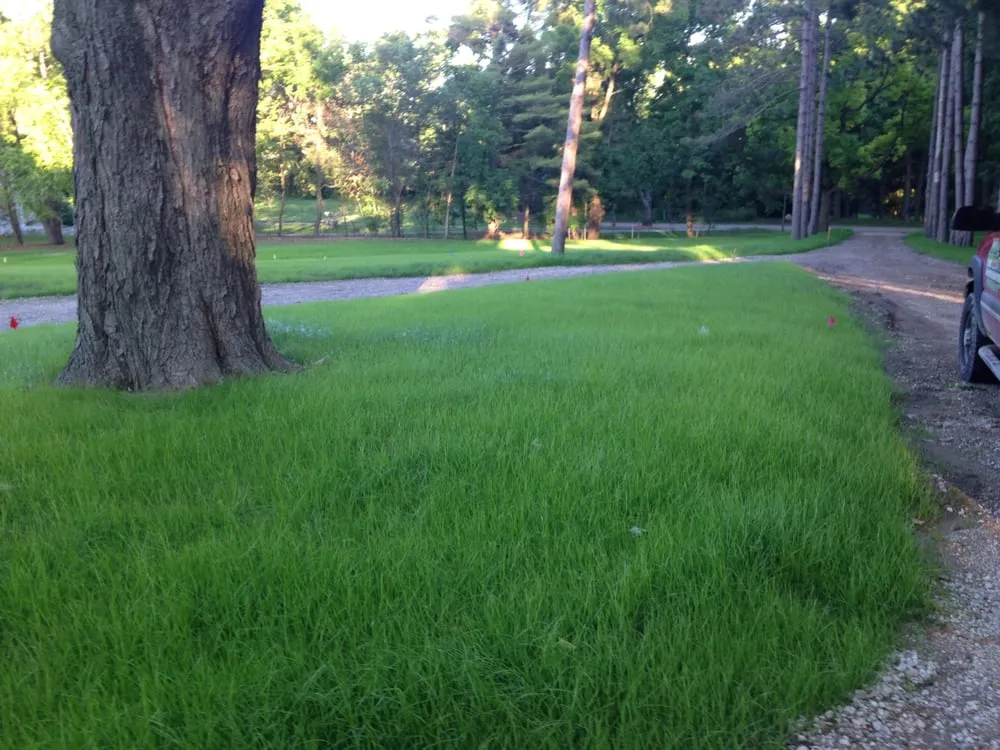 Professional garden landscaping in Warren, MI - American Hydroseeding