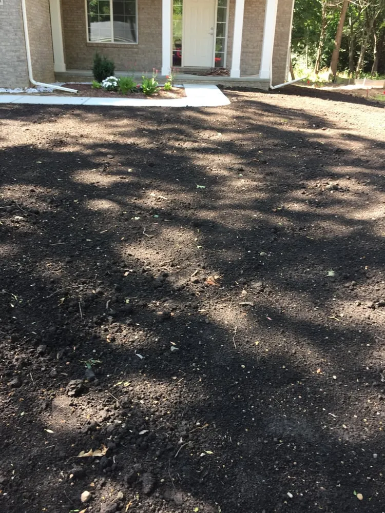 Top-rated landscaping services for residential properties across Warren, MI - American Hydroseeding