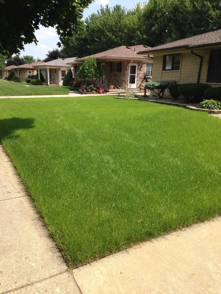 Custom yard maintenance in Warren, MI by American Hydroseeding