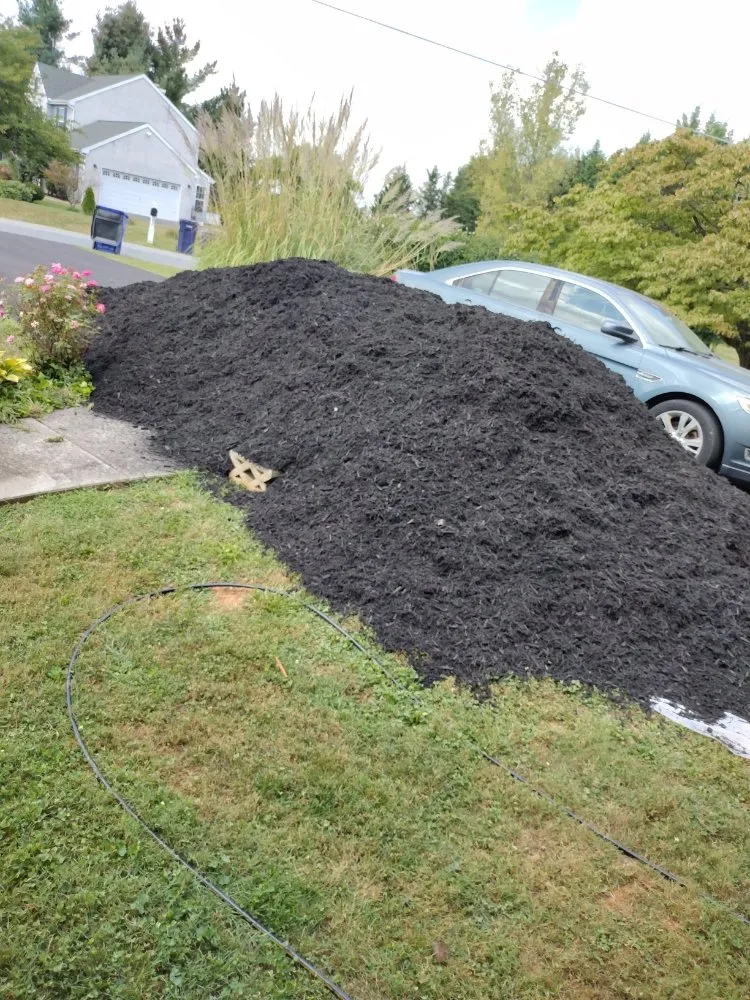 Professional residential landscaping near you in Bel Air, MD by American Innovation & Solutions