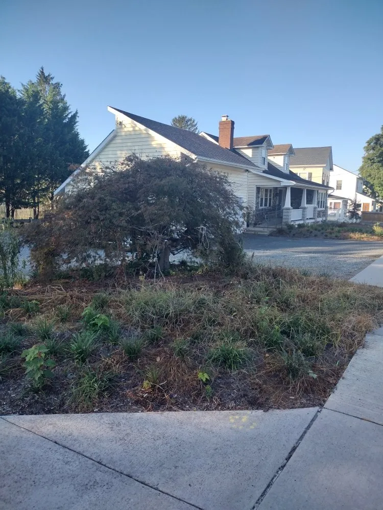 Affordable yard maintenance experts serving Bel Air, MD - American Innovation & Solutions