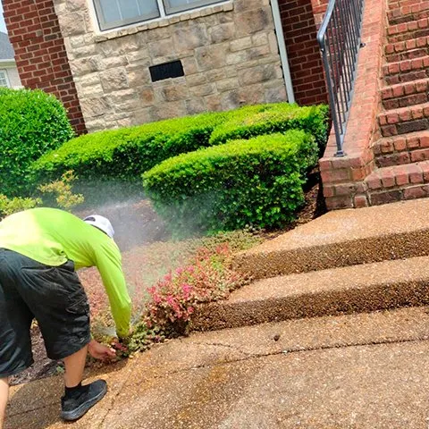 Professional garden landscaping in Franklin, TN - American Irrigation & Lights