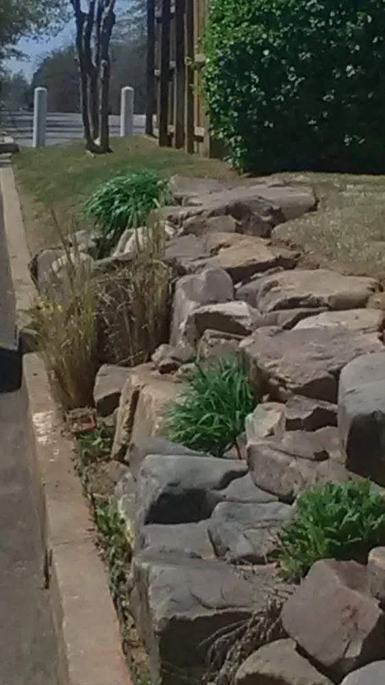 Top-rated lawn care service in Edmond, OK by American Irrigation and Landscaping