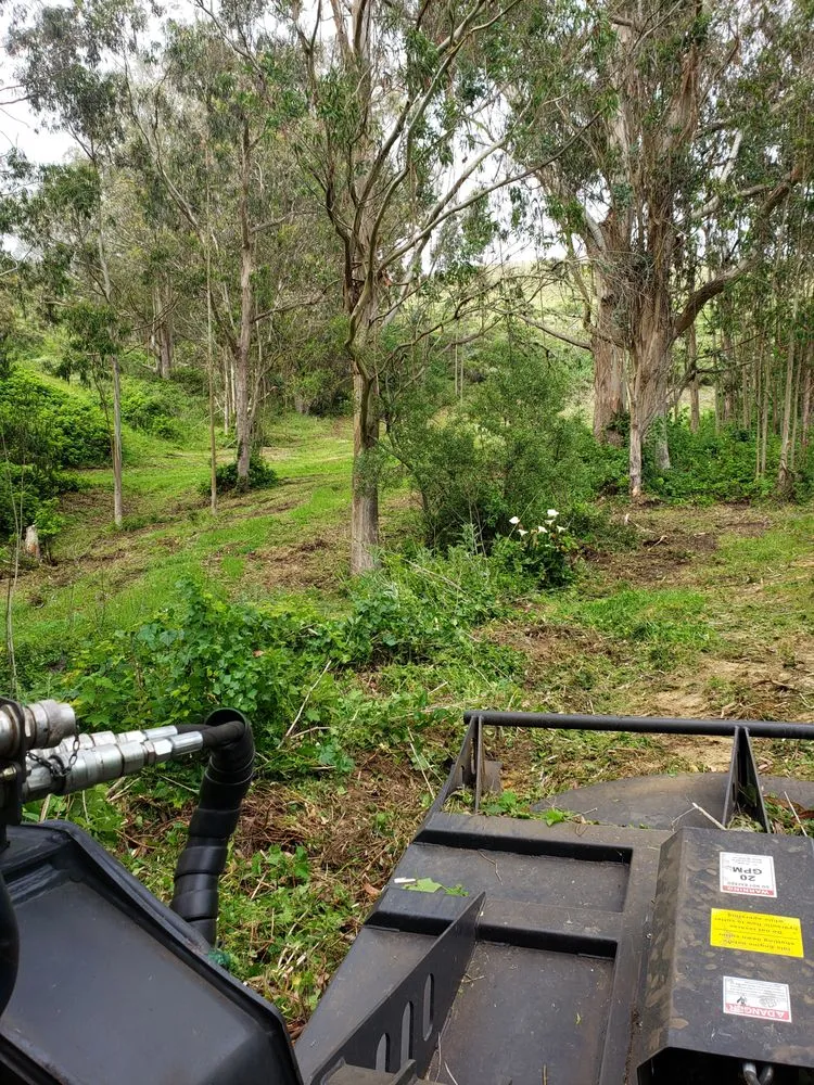 Custom residential landscaping near you in Tomales, CA by American Land And Field Services