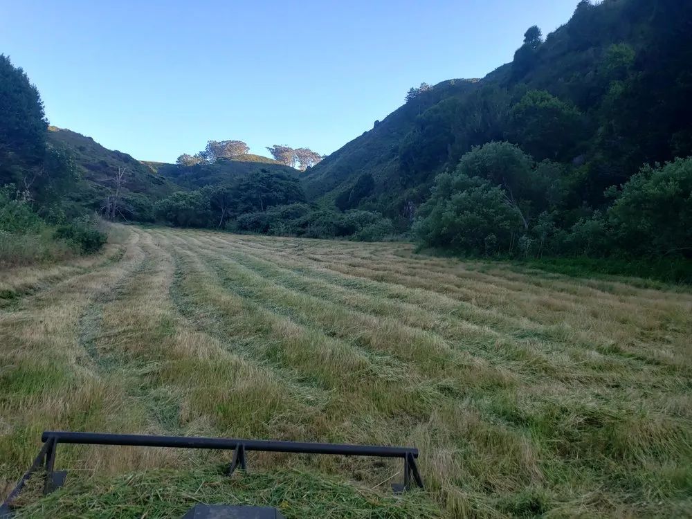 Reliable landscape installation in Tomales, CA - American Land And Field Services