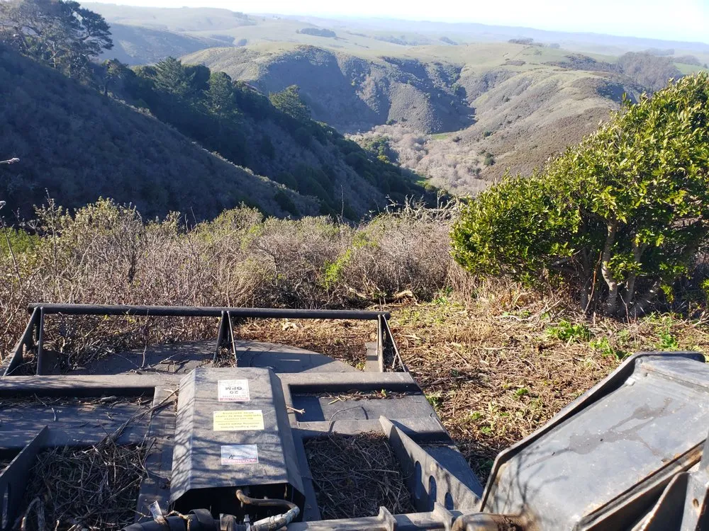 Affordable landscape installation for beautiful yards across Tomales, CA - American Land And Field Services