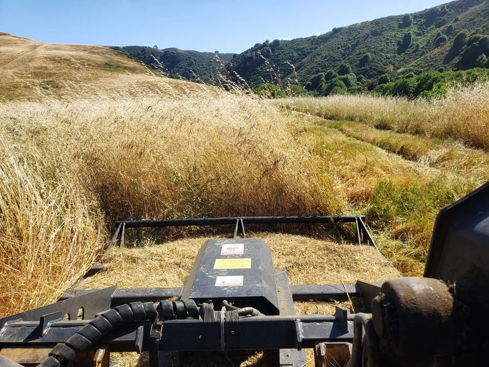 Trusted residential landscaping experts serving Tomales, CA - American Land And Field Services