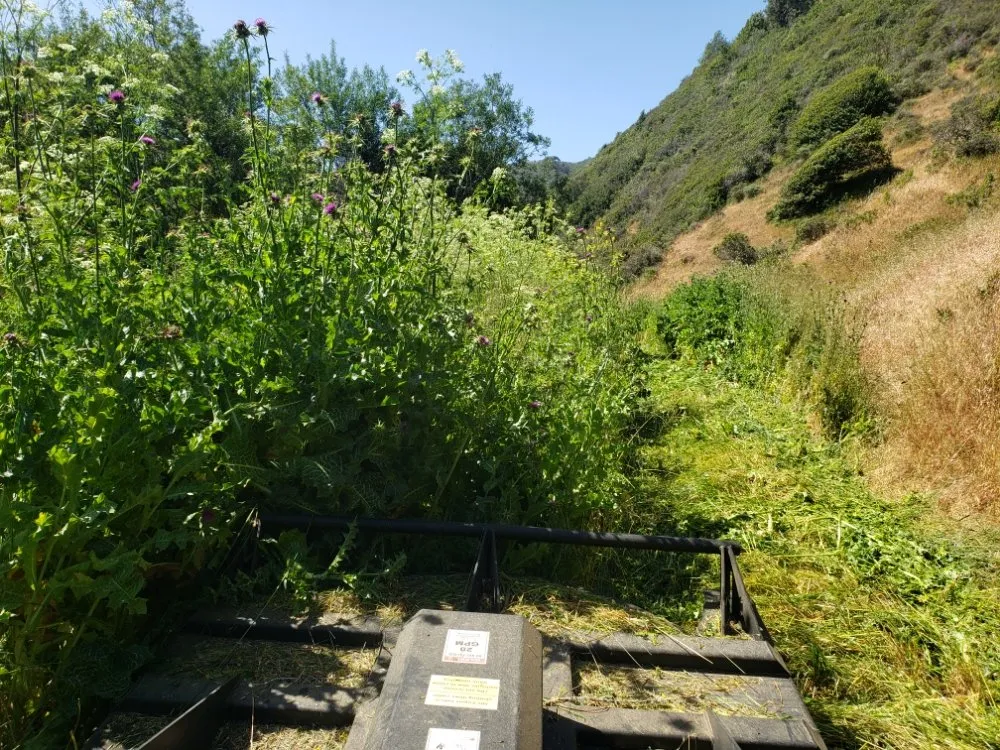Expert residential landscaping in Tomales, CA by American Land And Field Services