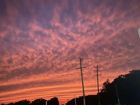 American Land Renovations Logo