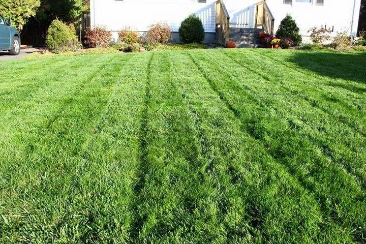 Local landscape installation in North Franklin, CT by American Landscape and Lawn Science