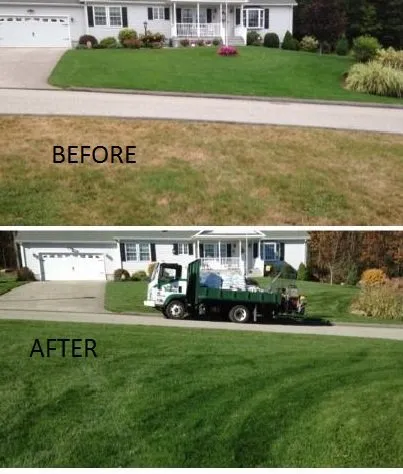 Custom landscaping services experts serving North Franklin, CT - American Landscape and Lawn Science