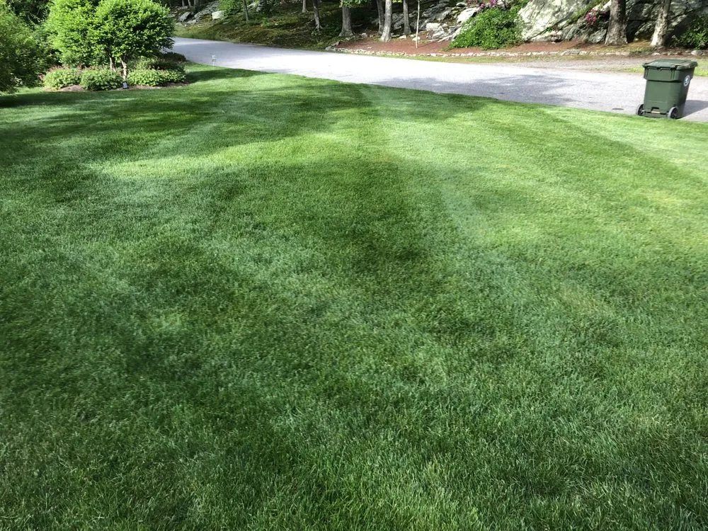 Trusted residential landscaping for beautiful yards in North Franklin, CT by American Landscape and Lawn Science
