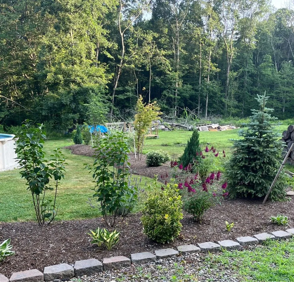Top-rated landscaping services in North Franklin, CT - American Landscape and Lawn Science