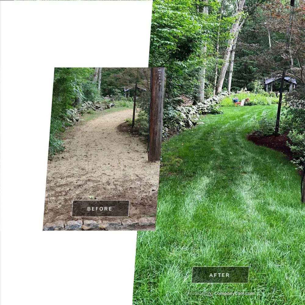 Professional landscaping services in North Franklin, CT - American Landscape and Lawn Science