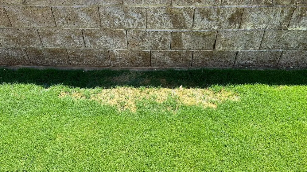 Trusted lawn mowing service in Romoland, CA - American Landscape Company