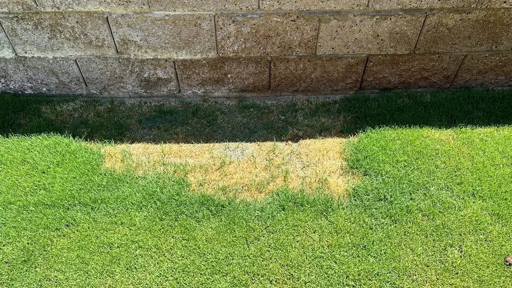 Custom yard maintenance with custom design across Romoland, CA - American Landscape Company