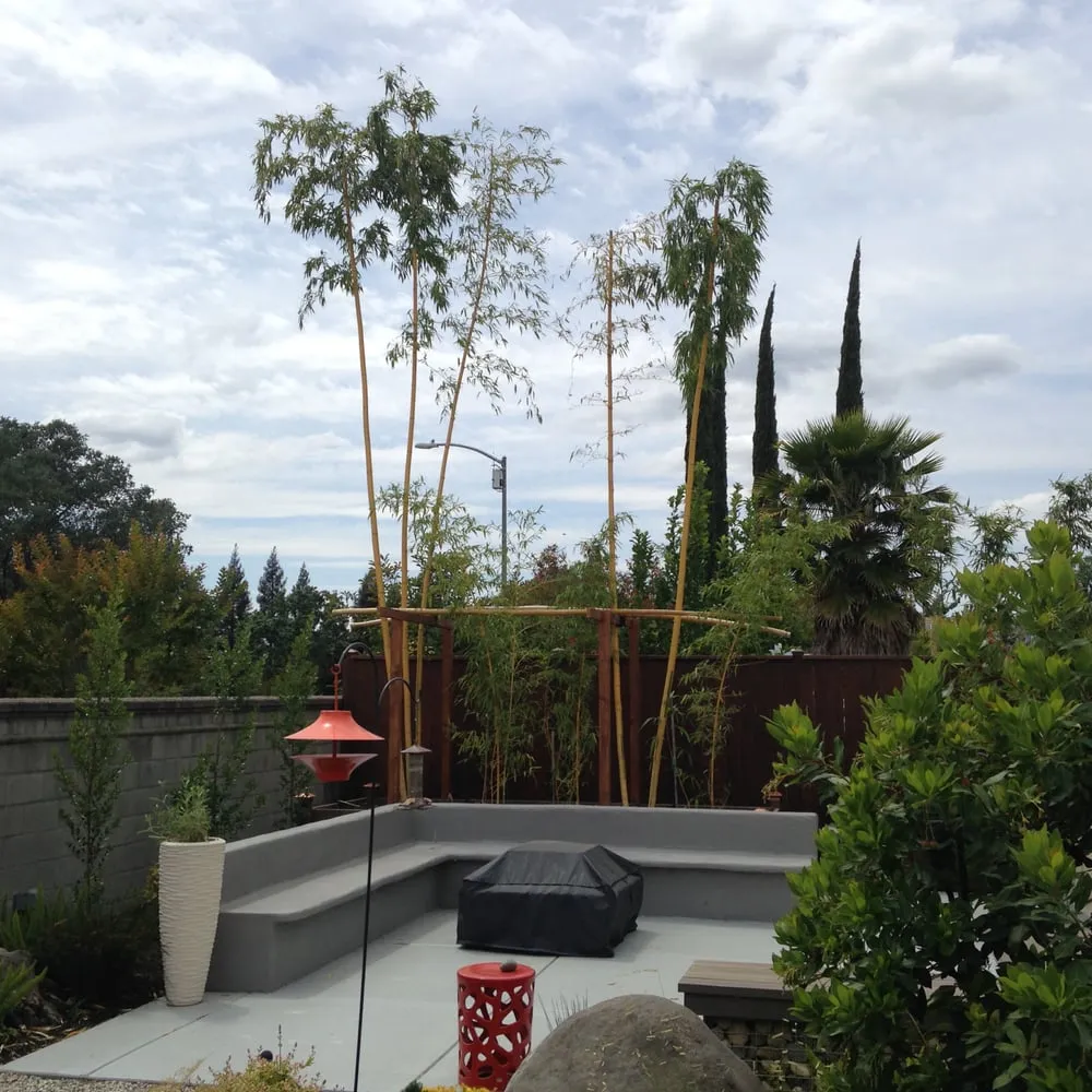 Trusted lawn mowing service experts serving Sacramento, CA - American Landscape Design & Installation