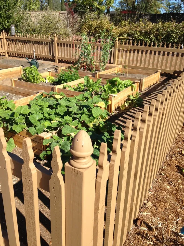 Custom lawn mowing service for beautiful yards across Sacramento, CA - American Landscape Design & Installation