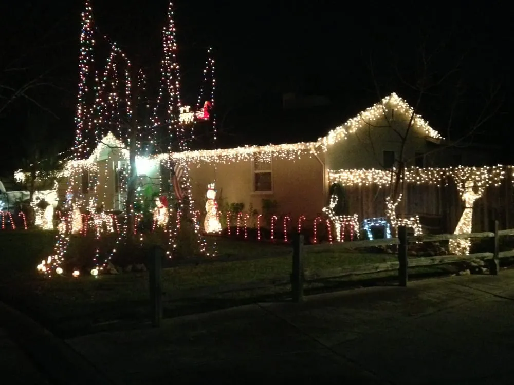 Local yard cleanup service in Sacramento, CA by American Landscape Design & Installation